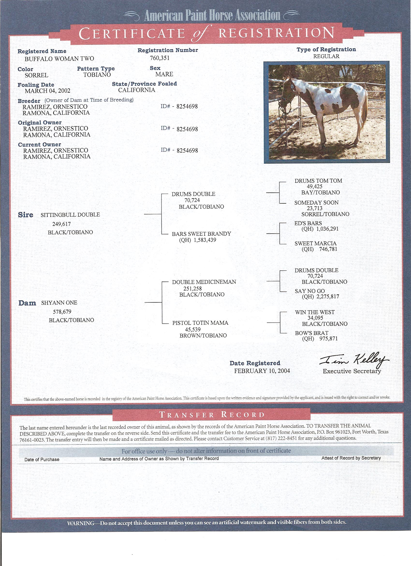 Buffalo Woman pedigree certificate